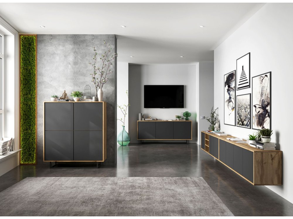 Wisząca szafka RTV Loft Industrialna APOLLO Dąb Wotan / Grafit Mat 300 cm